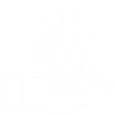 Explore top-performing mutual funds